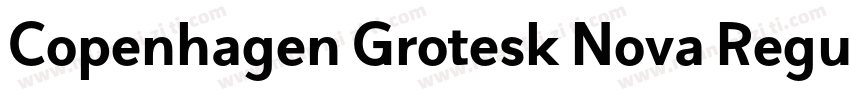 Copenhagen Grotesk Nova Regular字体转换